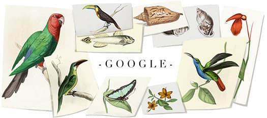 William John Swainson Google Doodle (+ Hummingbird), 8th October 2013